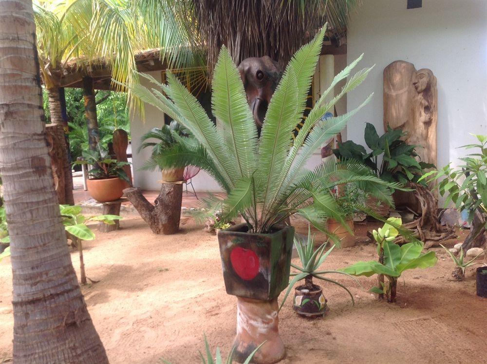 Mozart Y Macondo Hotel Puerto Escondido (Oaxaca)