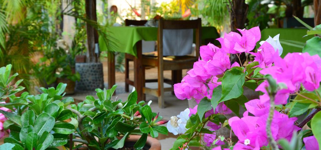 Hotel Mozart Y Macondo Puerto Escondido (Oaxaca)