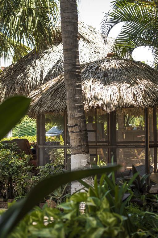 Puerto Dreams Surf House 3*