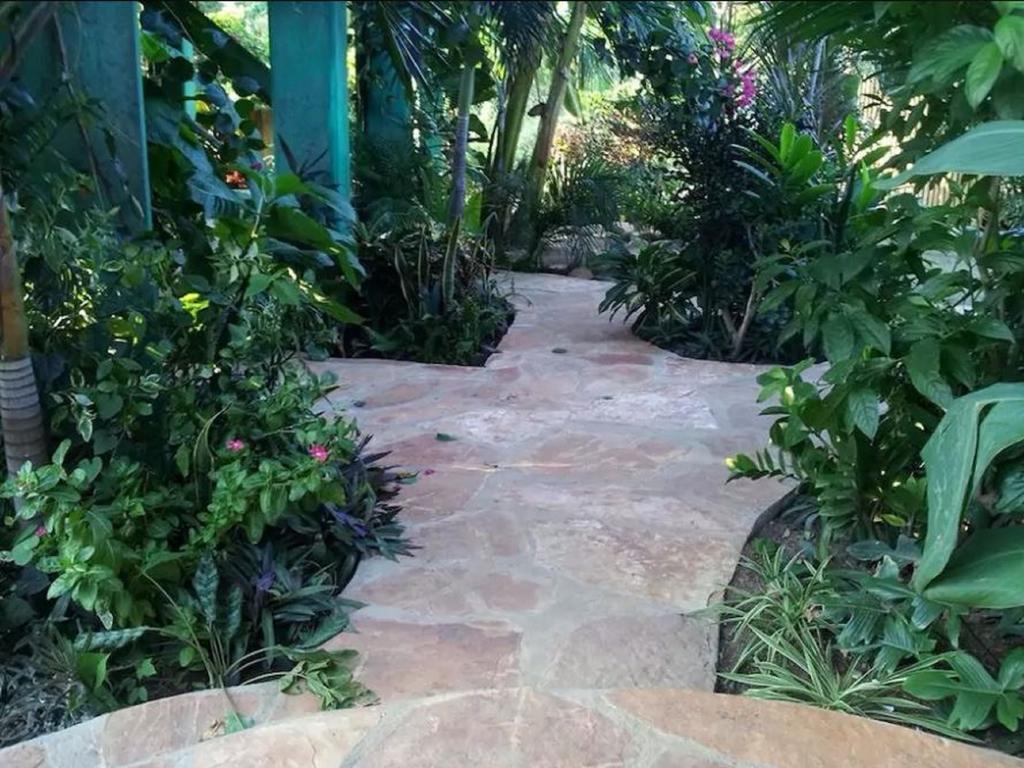 La Casa Del Arbol Pensión