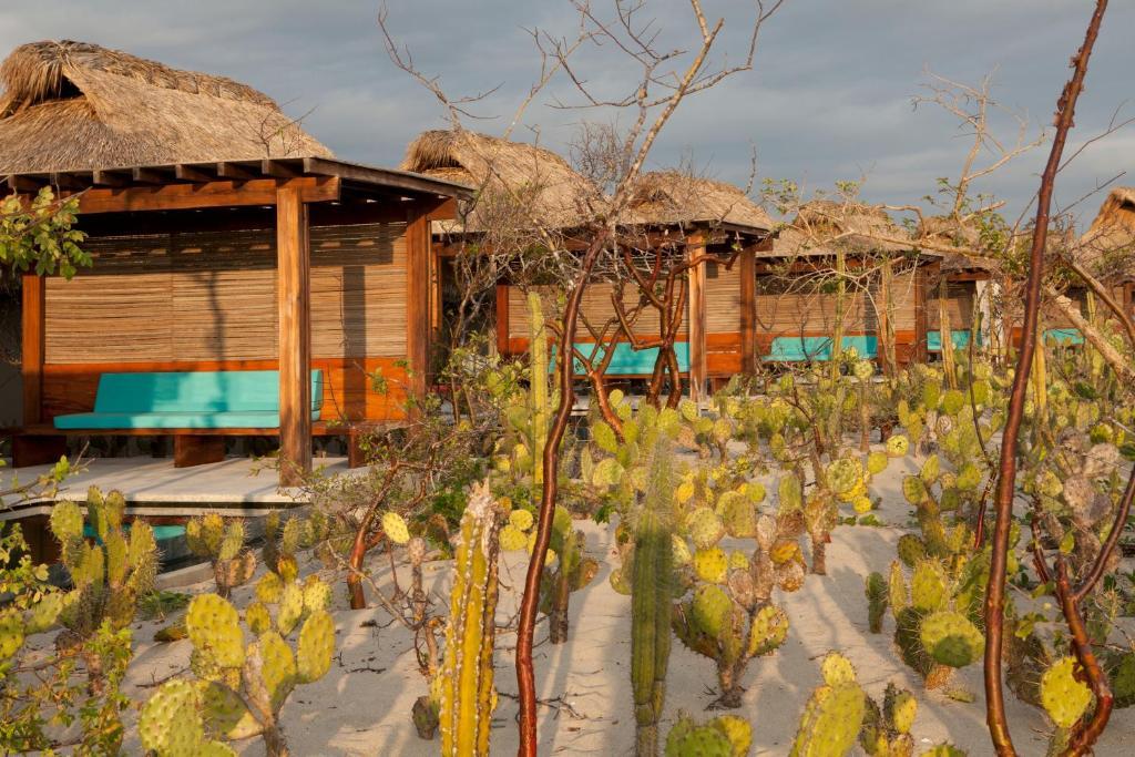 Escondido, Puerto Escondido, A Member Of Design - Adults Only Hotel Puerto Escondido (Oaxaca)