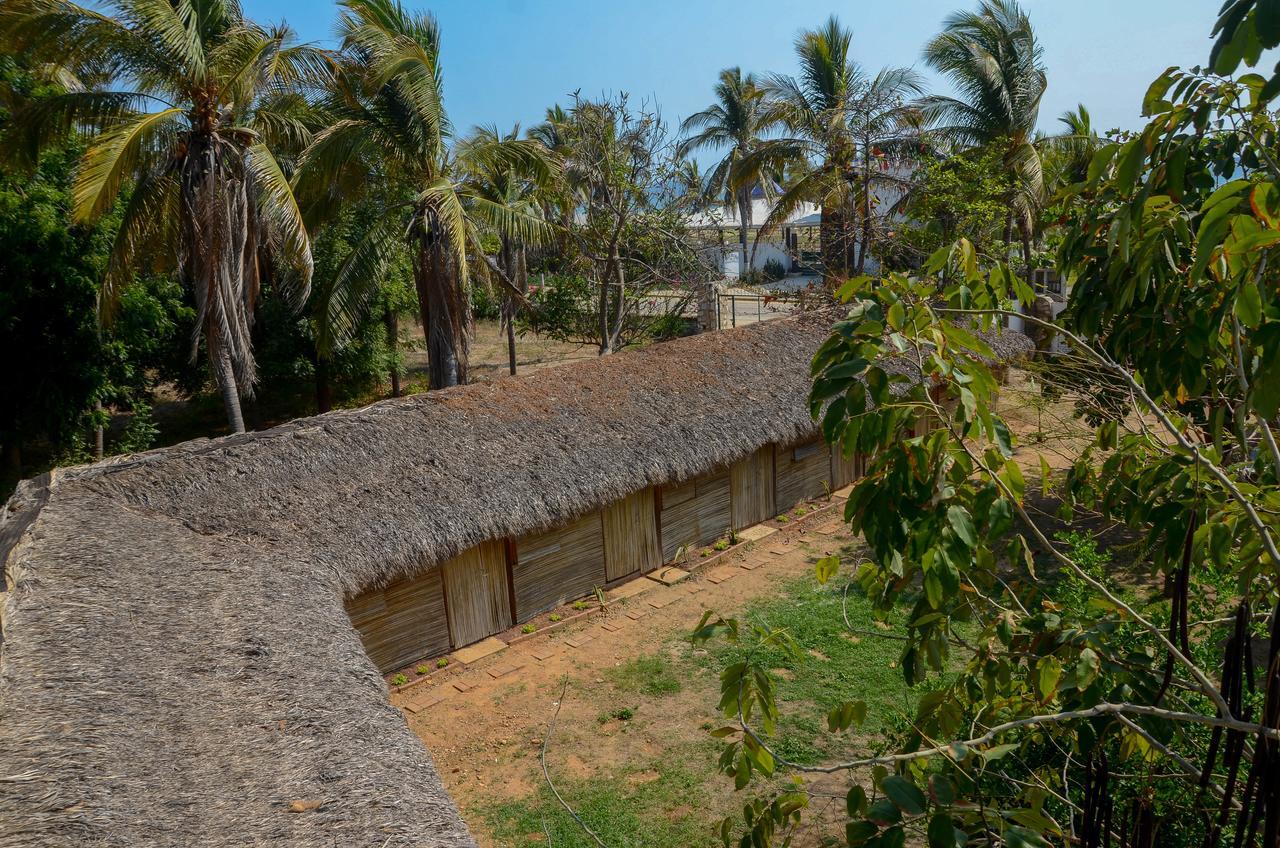 Alebrijes Surf House (adults Only) Hostal Puerto Escondido (Oaxaca)