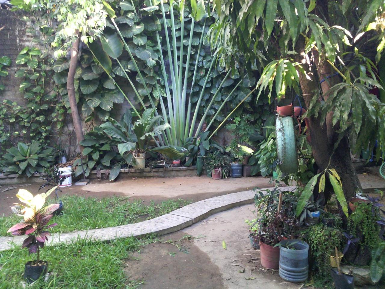 Casaverde Guest house Puerto Escondido (Oaxaca)