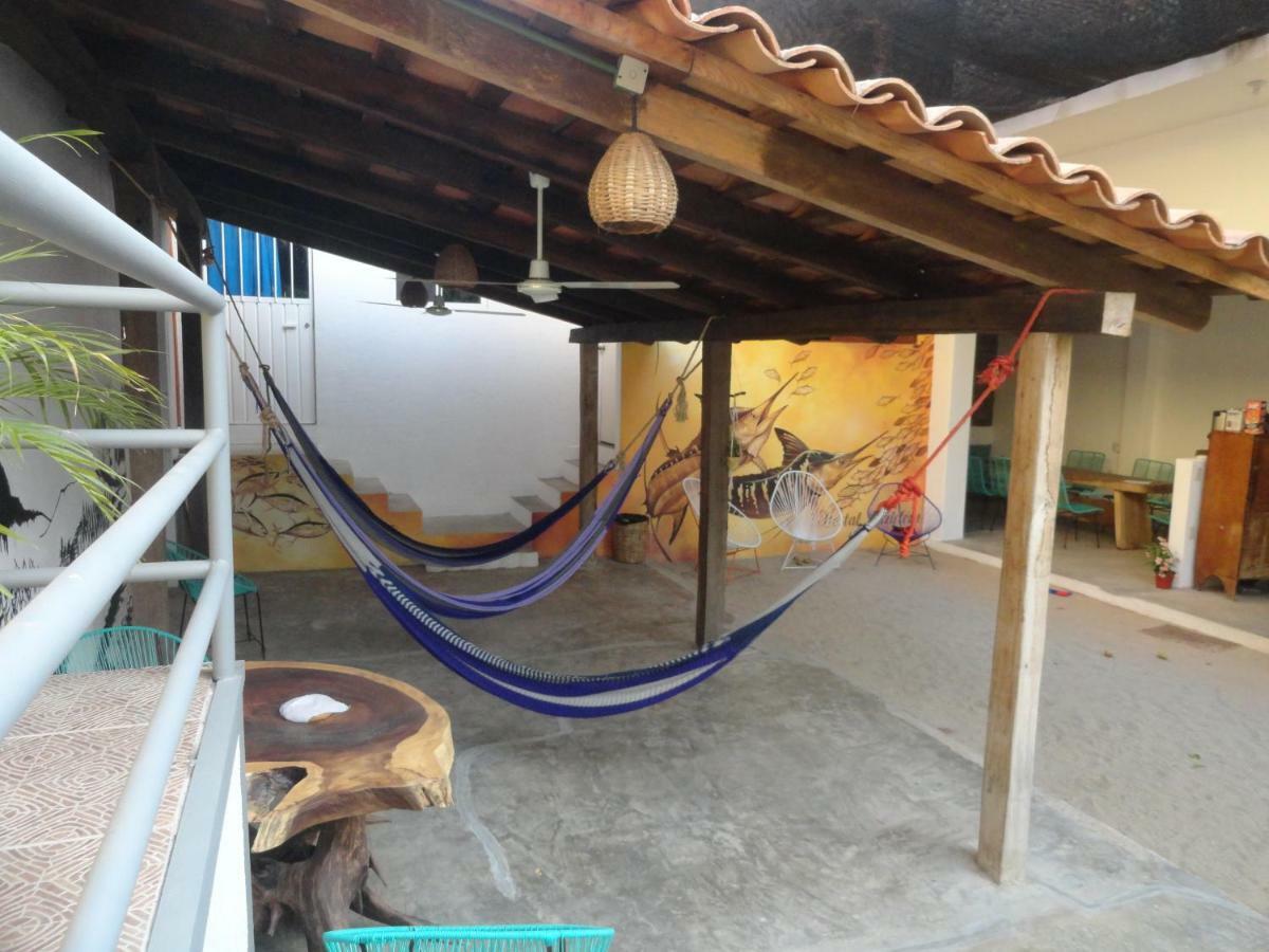 Paziflora -starlink- * Puerto Escondido (Oaxaca)