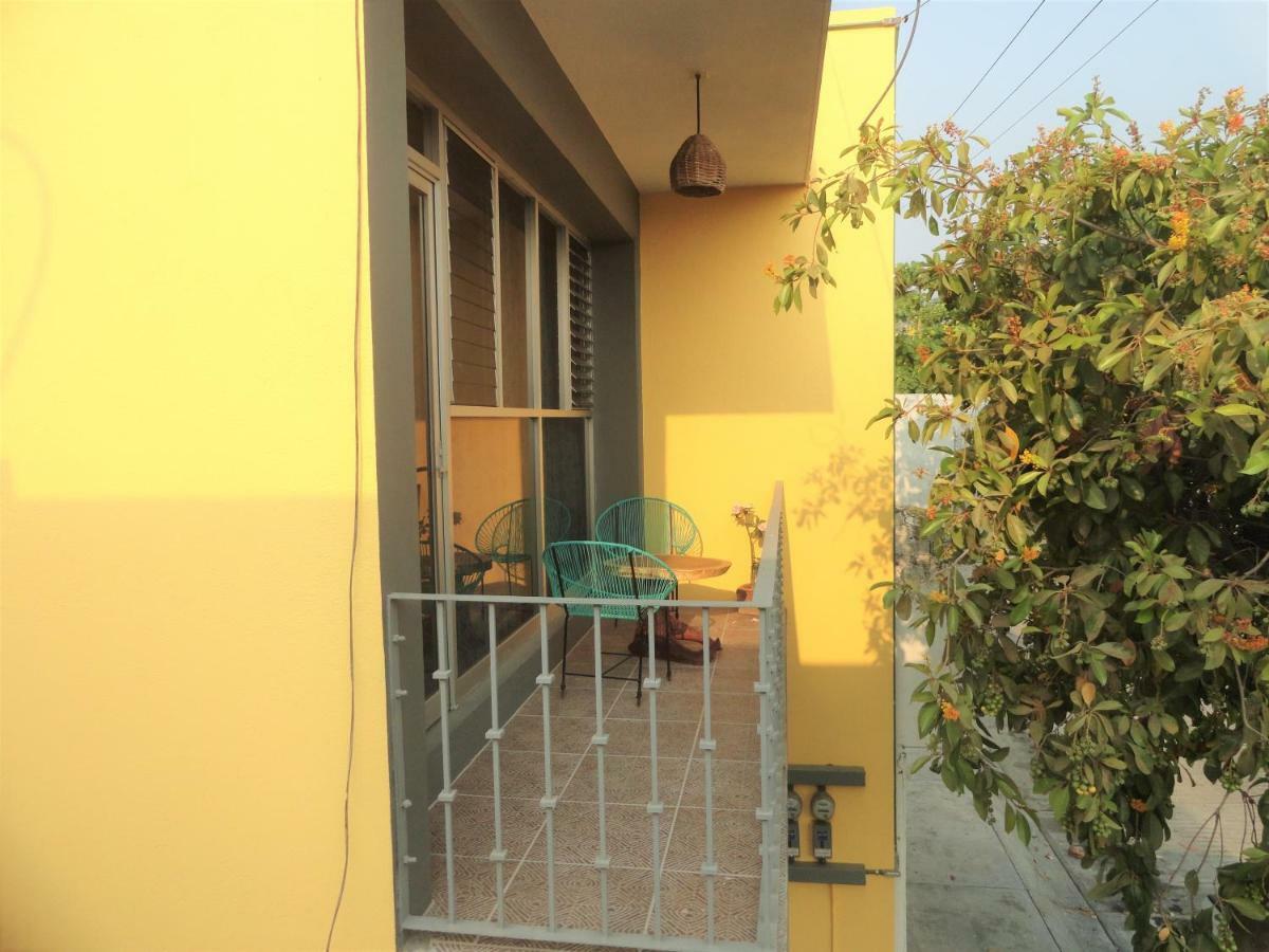 Paziflora -starlink- Guest house *