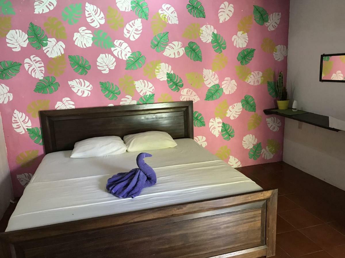 Alebrijes Surf House (adults Only) Hostal