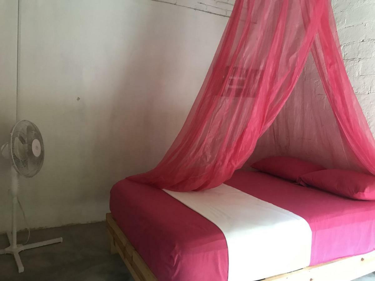 Alebrijes Surf House (adults Only)