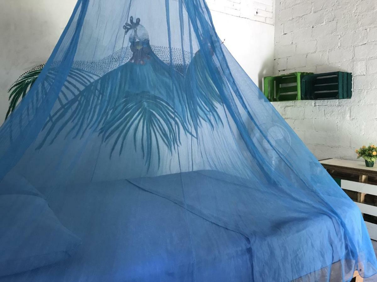 Alebrijes Surf House (adults Only) Hostal