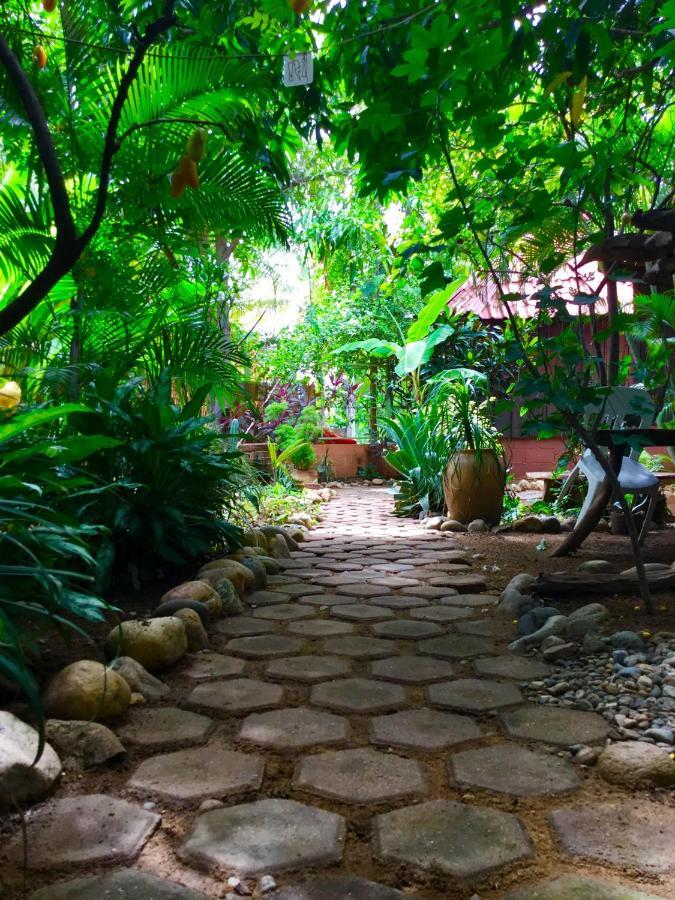 Pensión Osa Mariposa Hotelito Puerto Escondido (Oaxaca)