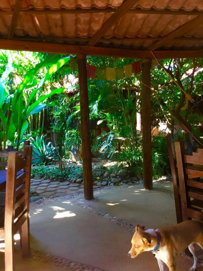Osa Mariposa Hotelito Pensión Puerto Escondido (Oaxaca)