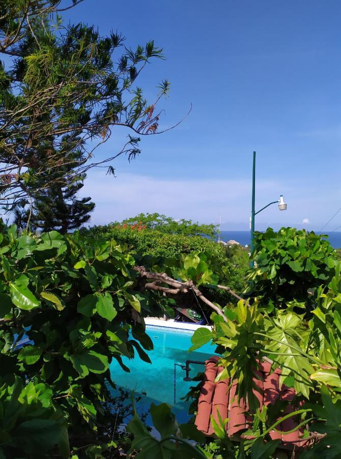 Casa Terranova (adults Only) 2*