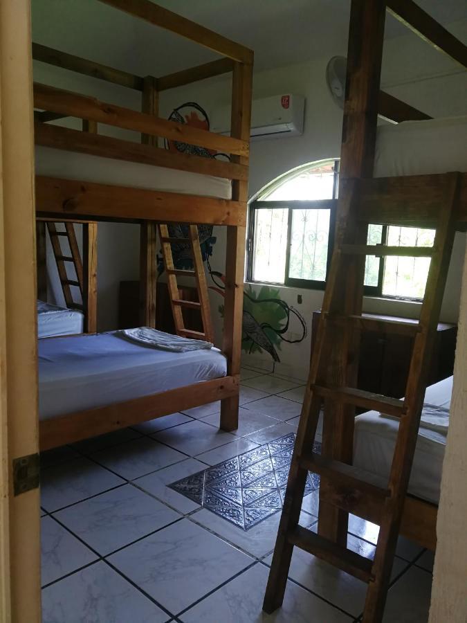 Hostel Vivo Escondido *