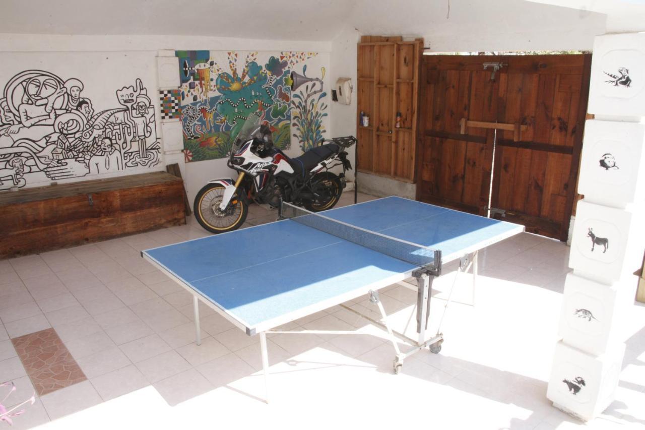 Hostel Vivo Escondido