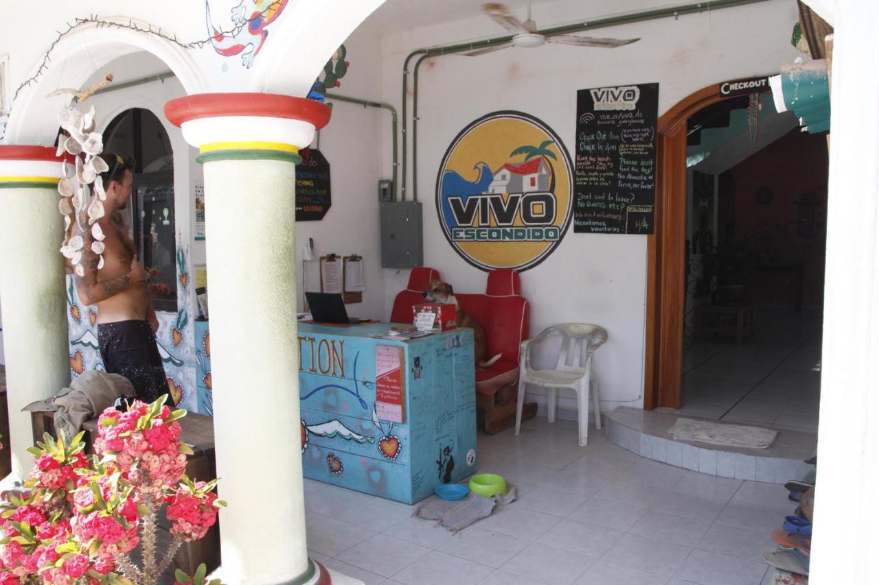 Vivo Escondido Puerto Escondido (Oaxaca)