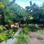 Agua De Coco