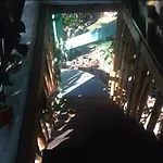 La Casa Del Arbol