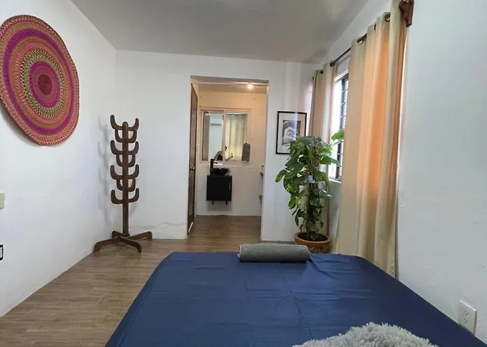 Casa Jaguares
