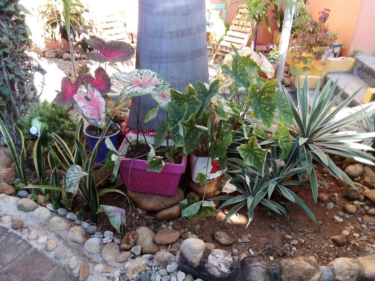 Casa Gio * Puerto Escondido (Oaxaca)