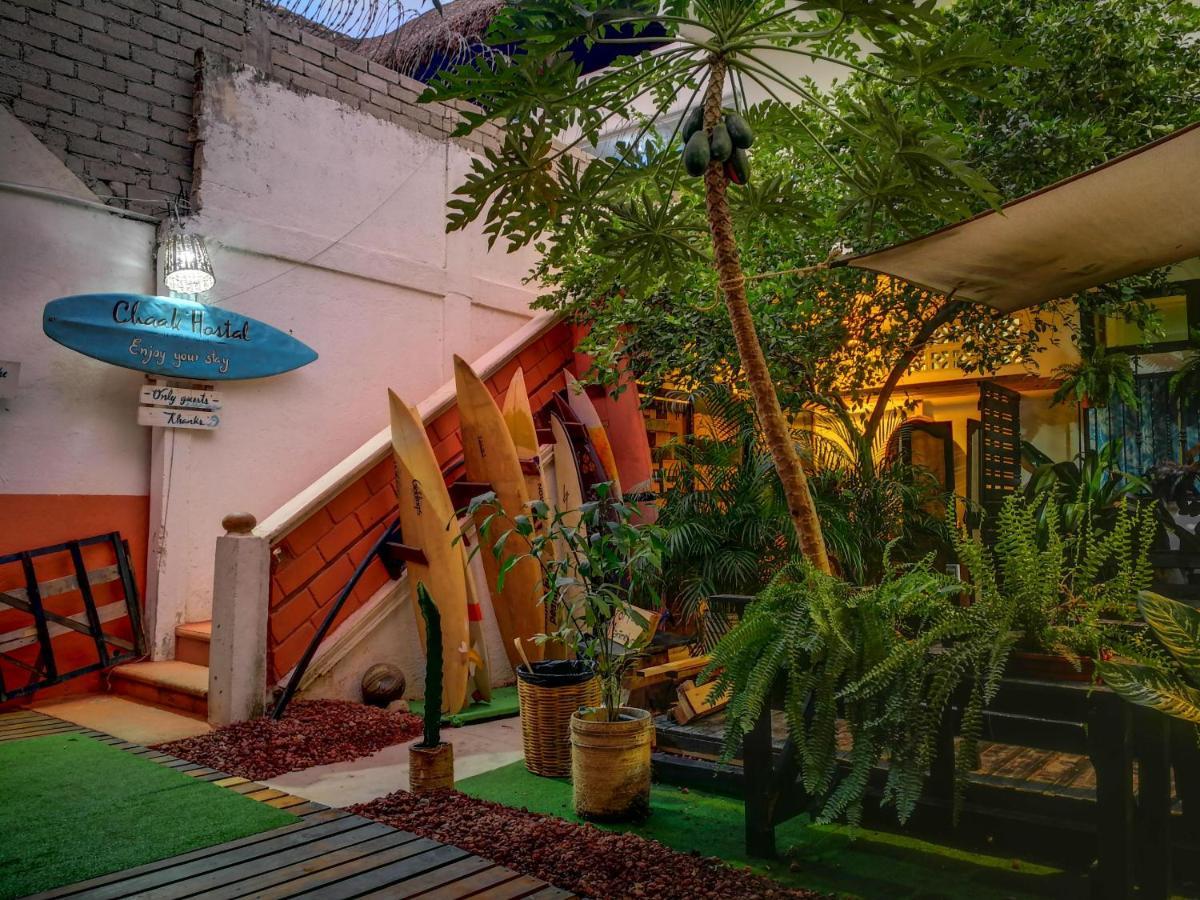 Hostal Chaak Puerto Escondido (Oaxaca)