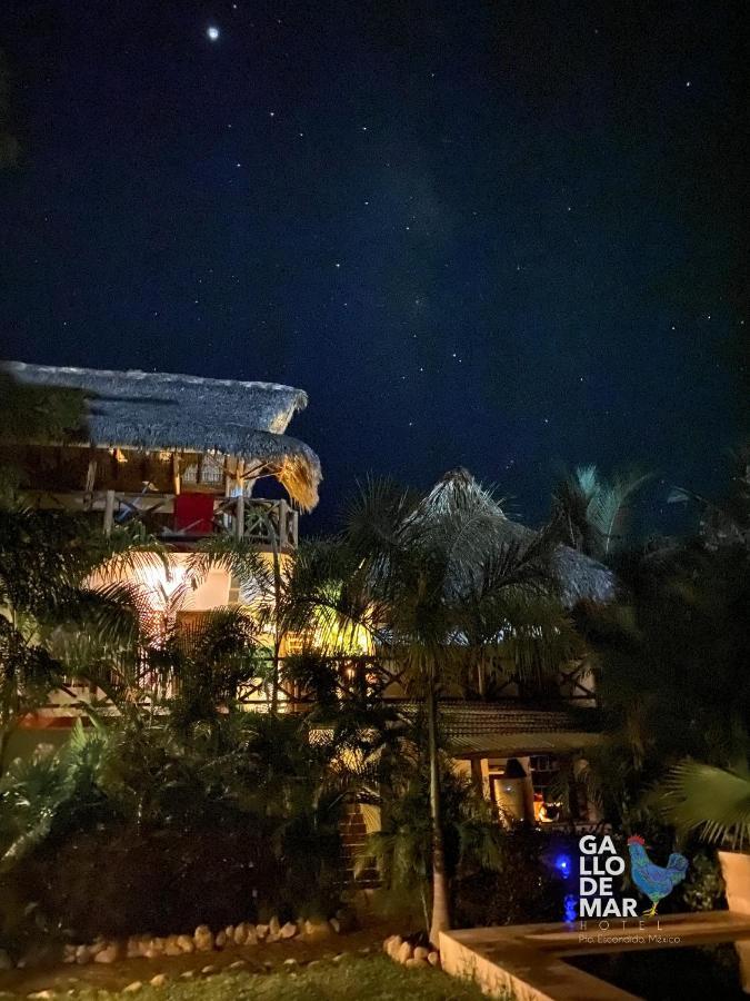 Gallo De Mar Hotel