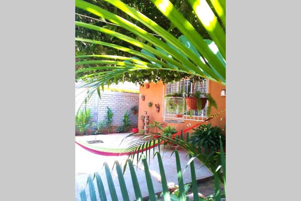 Paraíso Escondido Departamento-puerto Escondido Apartamento Puerto Escondido (Oaxaca)