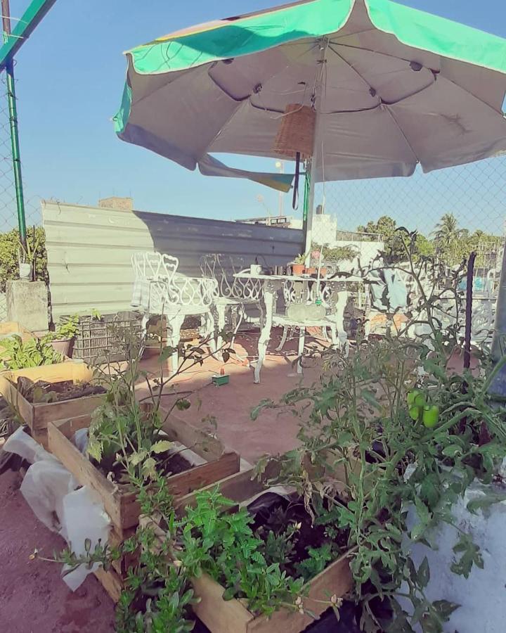 Punta Escondida Residencia Artística * Puerto Escondido (Oaxaca)
