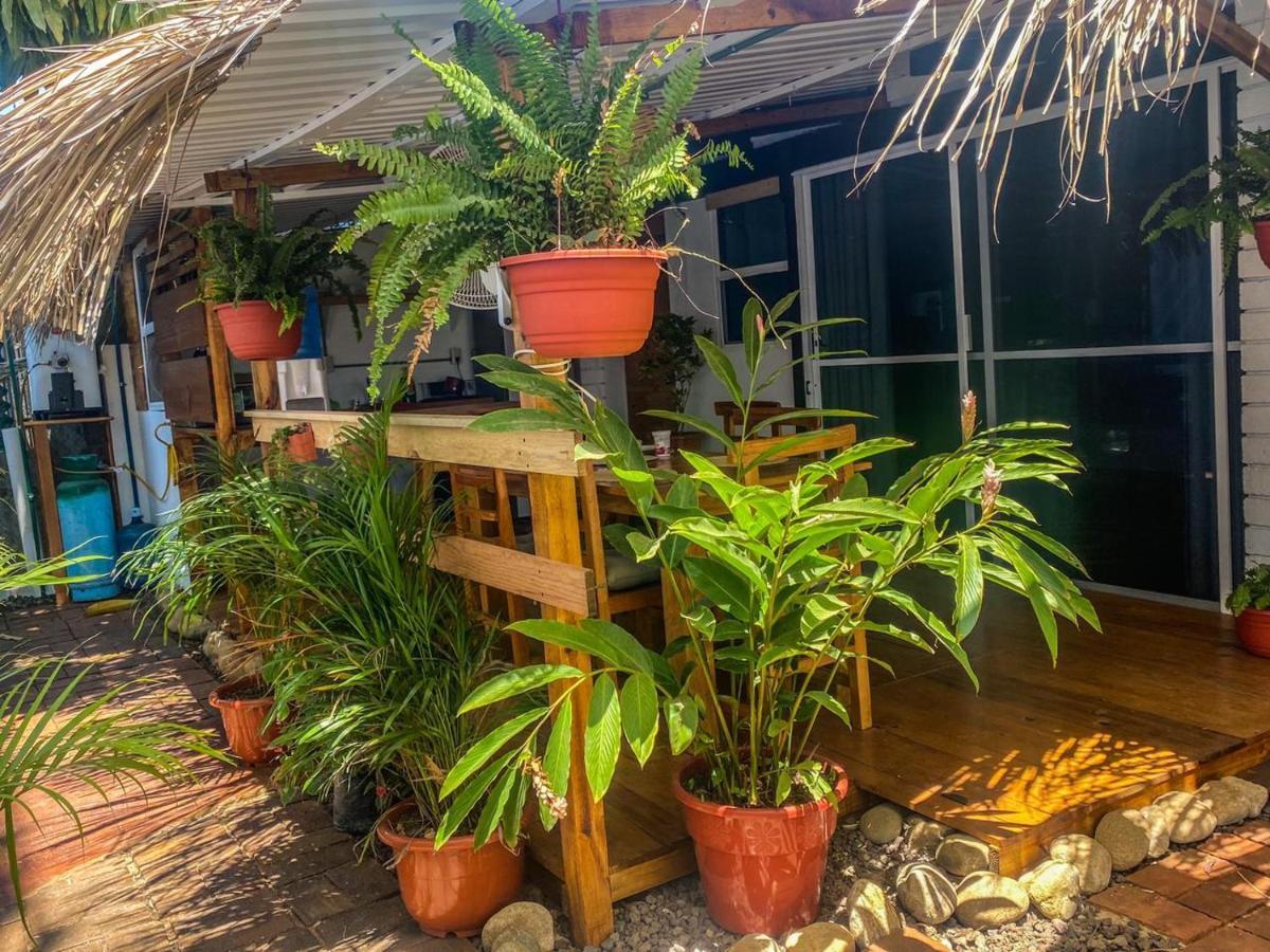 Shaka House *