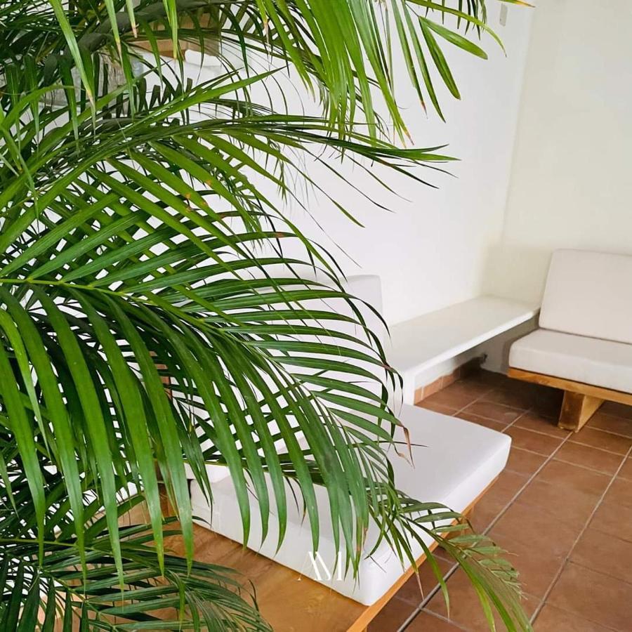 Apartamento Aguamiel Beach House Puerto Escondido (Oaxaca)