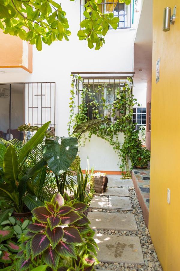 Casa Lomas Del Marinero Internet Starlink Sin Garaje * Puerto Escondido (Oaxaca)