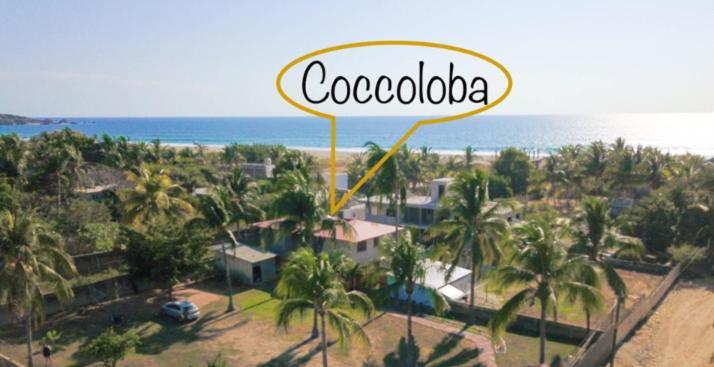 Pensión Coccoloba