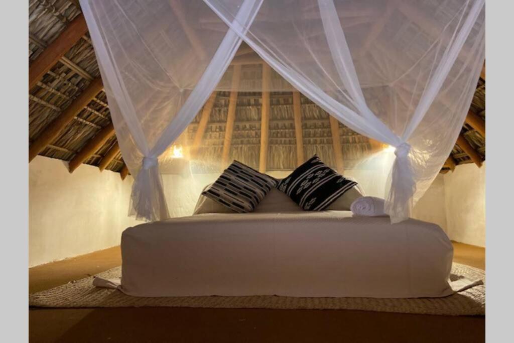 Casa Coconut *