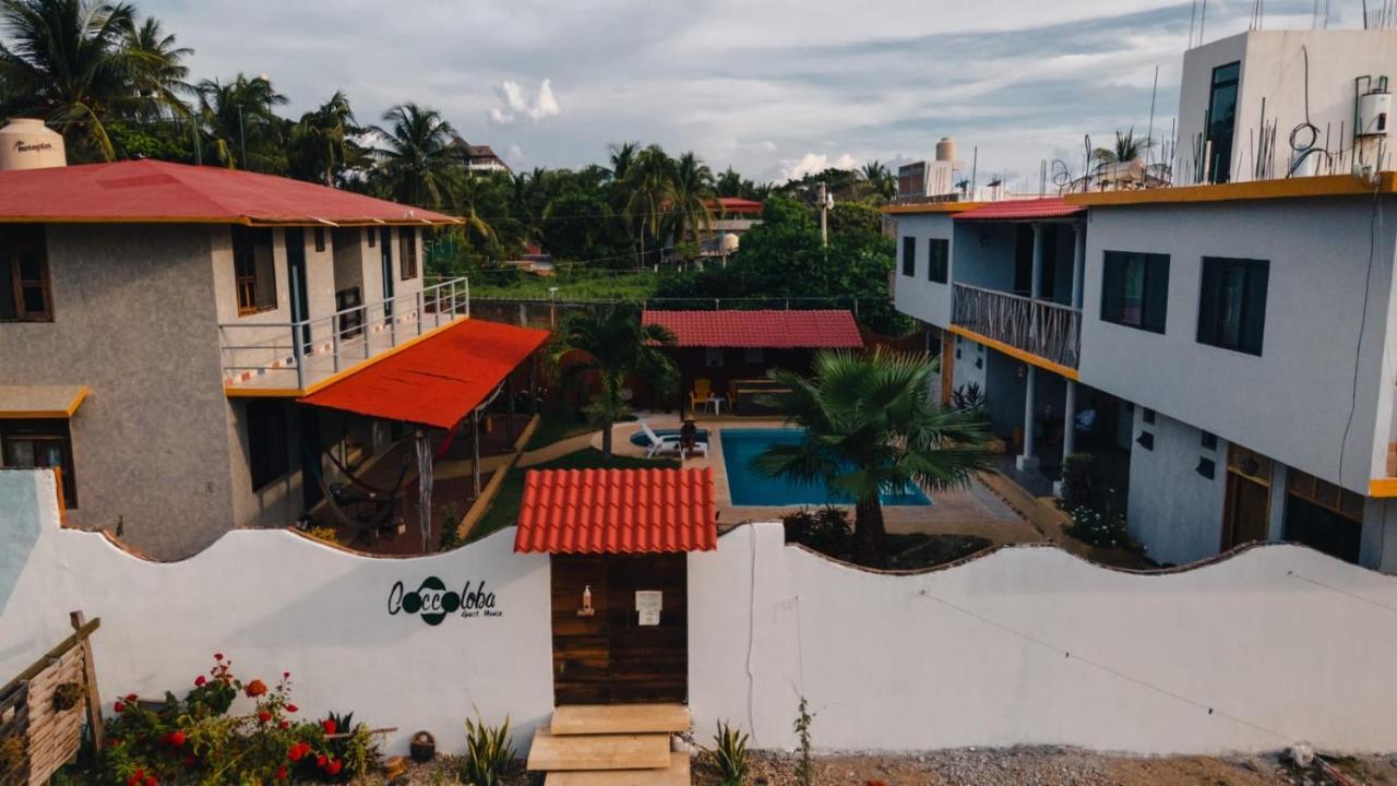 Coccoloba * Puerto Escondido (Oaxaca)
