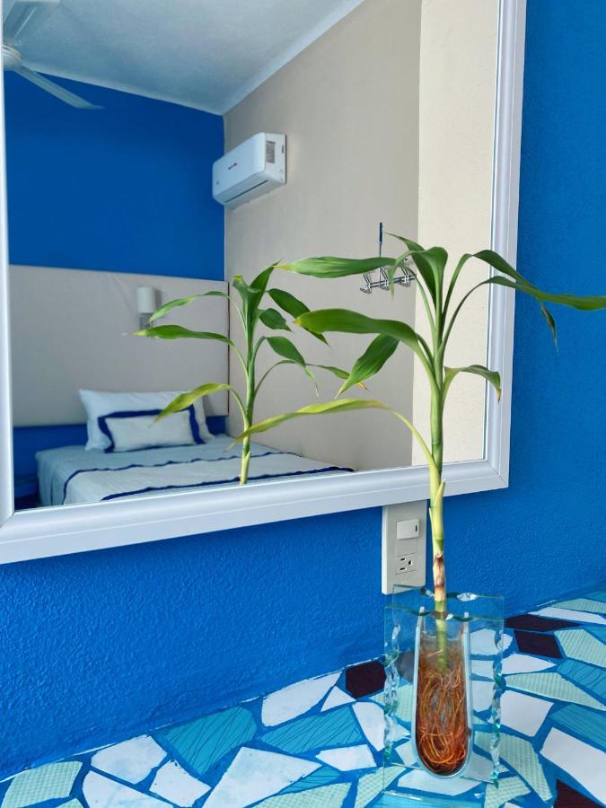 Casa Mia Puerto Escondido (Oaxaca)