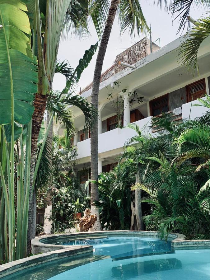 Valhalla House * Puerto Escondido (Oaxaca)