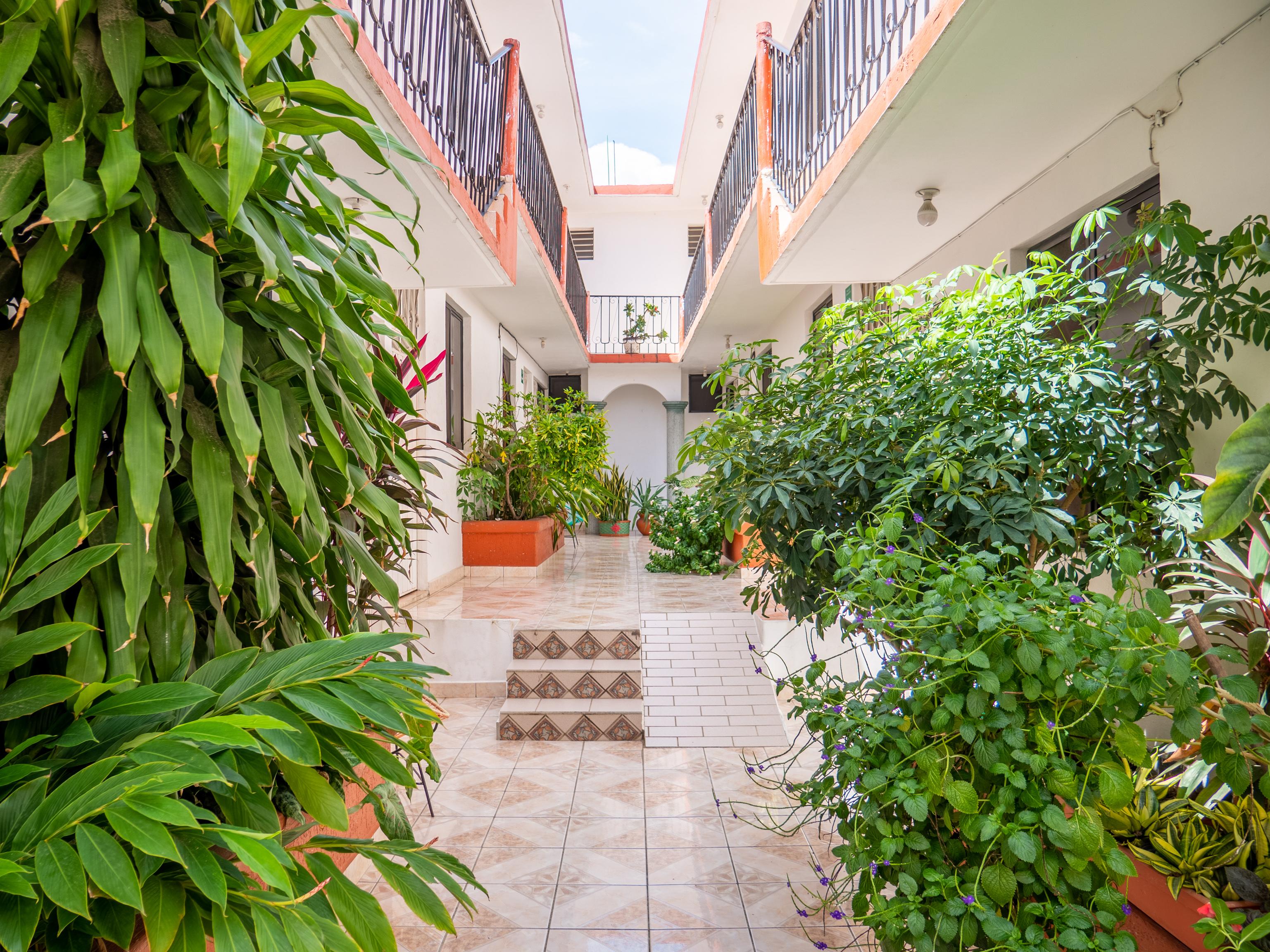 Hotel Oyo Arena Surf, Puerto Escondido 3*