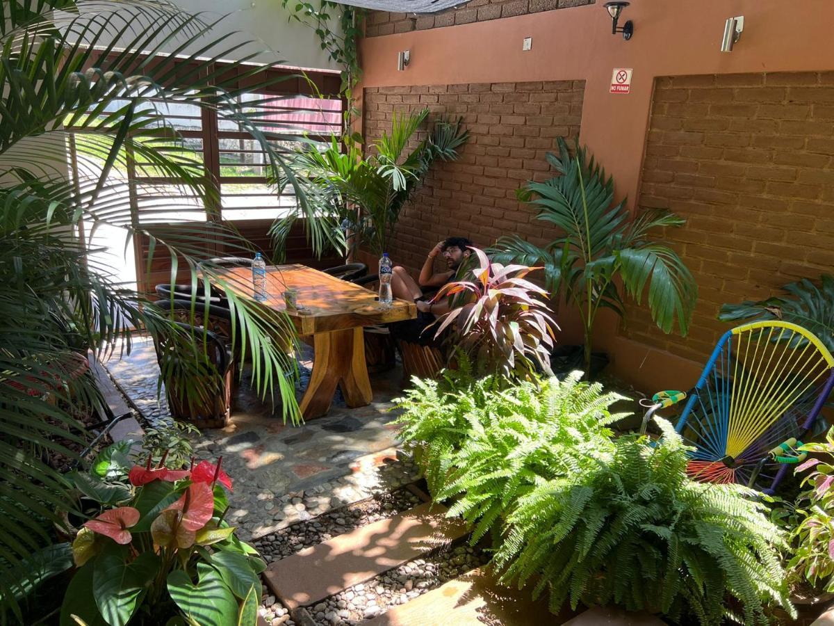 Casa Lomas Del Marinero Internet Starlink Sin Garaje Apartment *