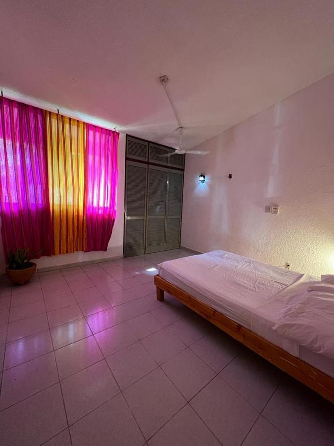 Pinata Hostel *