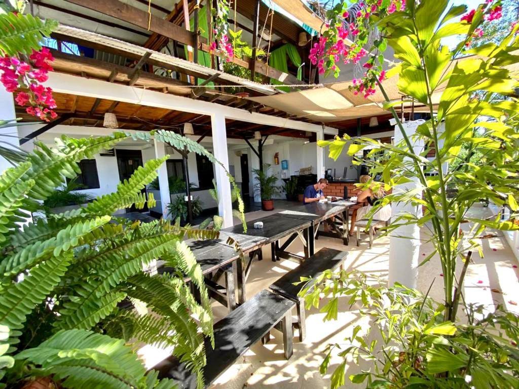 Chaak Hostal *