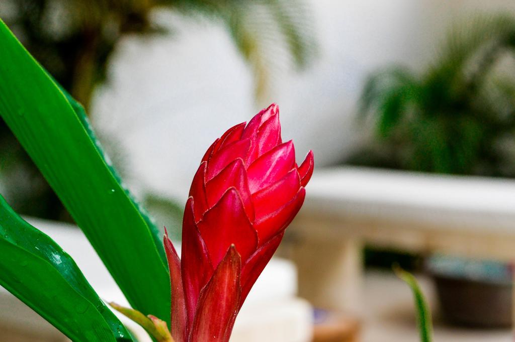 Aldea Del Bazar&spa 4* Puerto Escondido (Oaxaca)