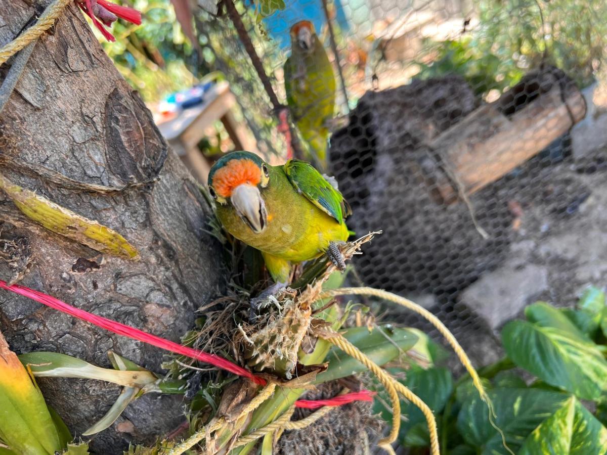 El Ranchito Agroturismo *