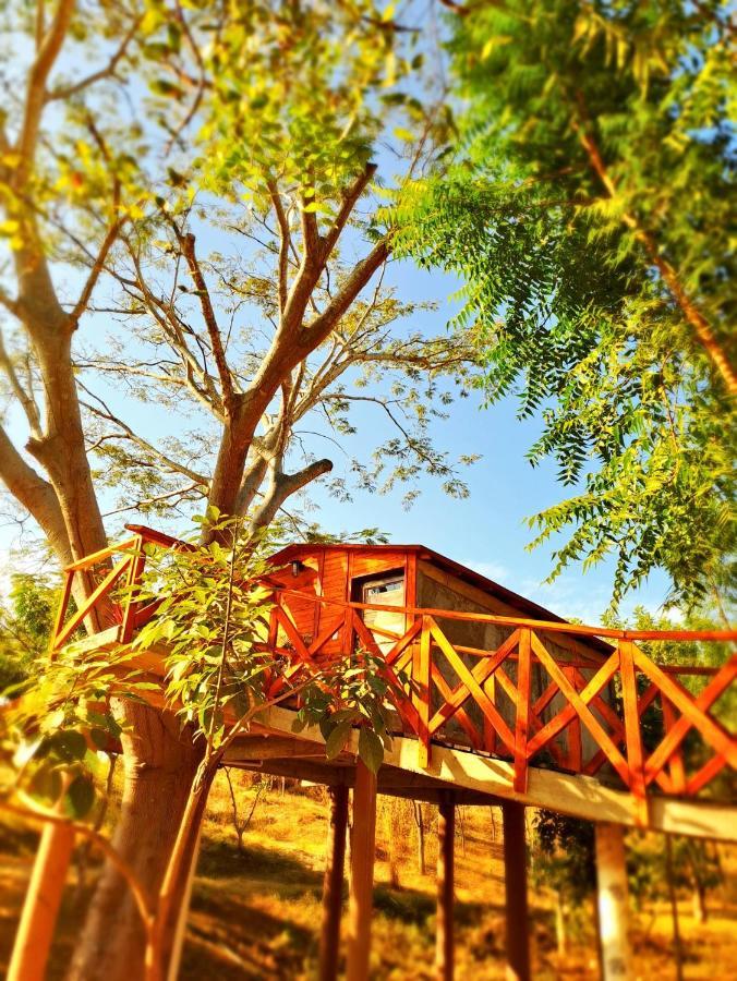 Campsite Casa Paraiso Boutique