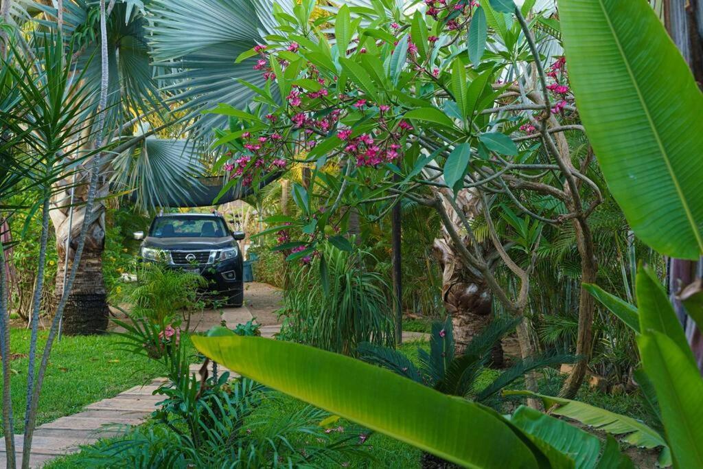 Villa Casa Bibi Ac Wifi Starlink Kitchen Fully Equipped Swimming Pool Hot Water