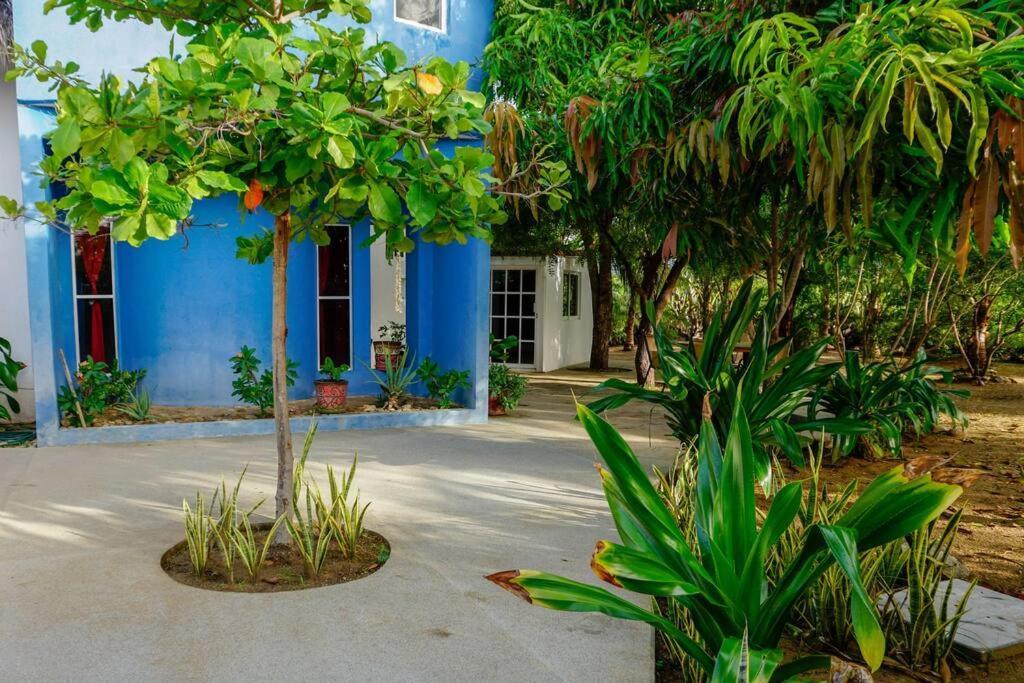 Casa Bibi Ac Wifi Starlink Kitchen Fully Equipped Swimming Pool Hot Water Puerto Escondido (Oaxaca)