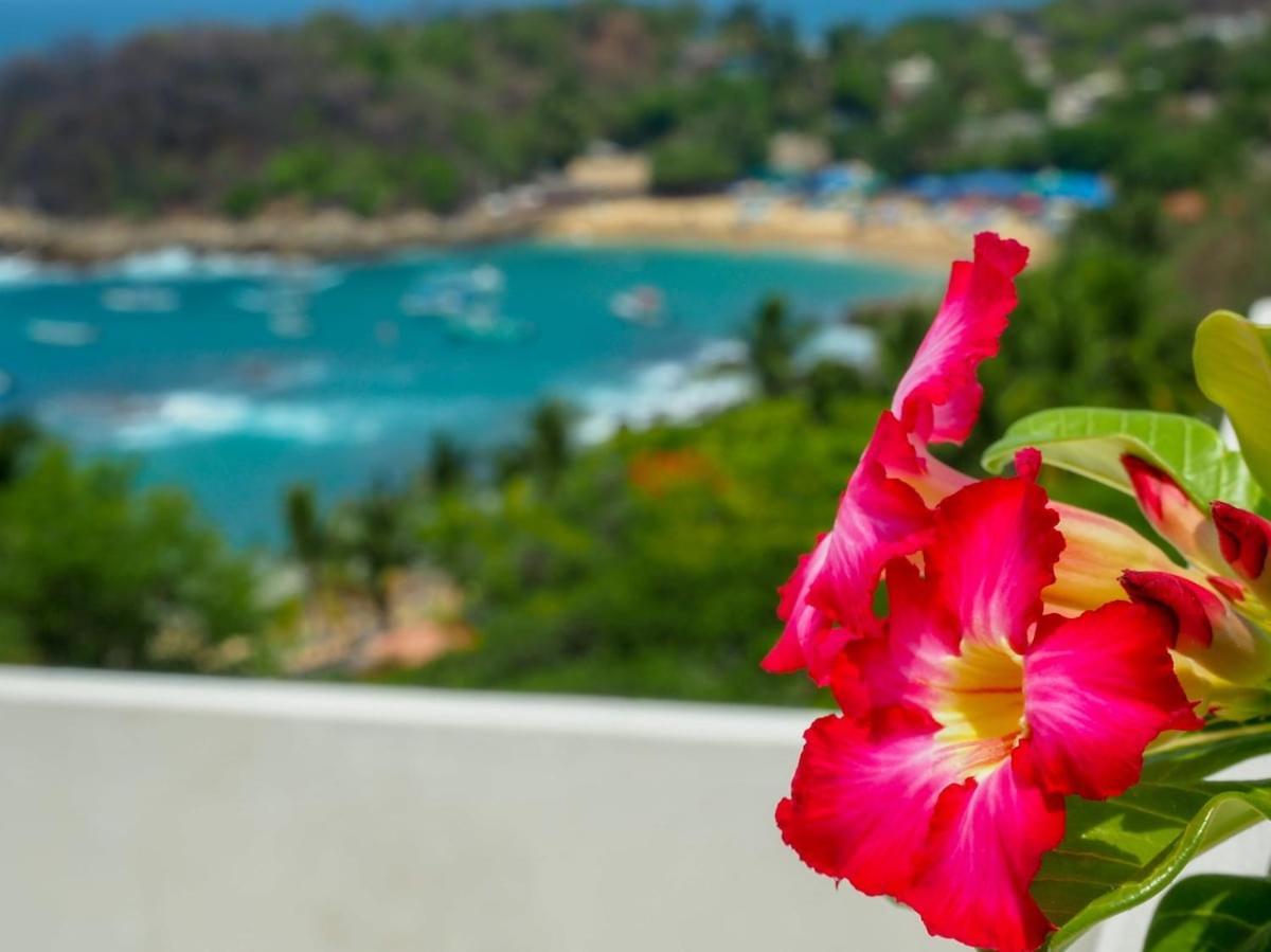 Hotel Casa Cascada - Adults Only