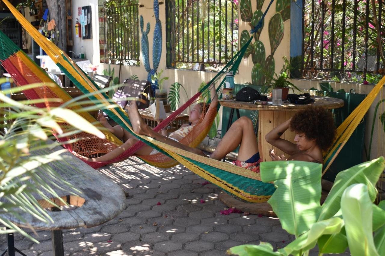 Nopalero Hostel *