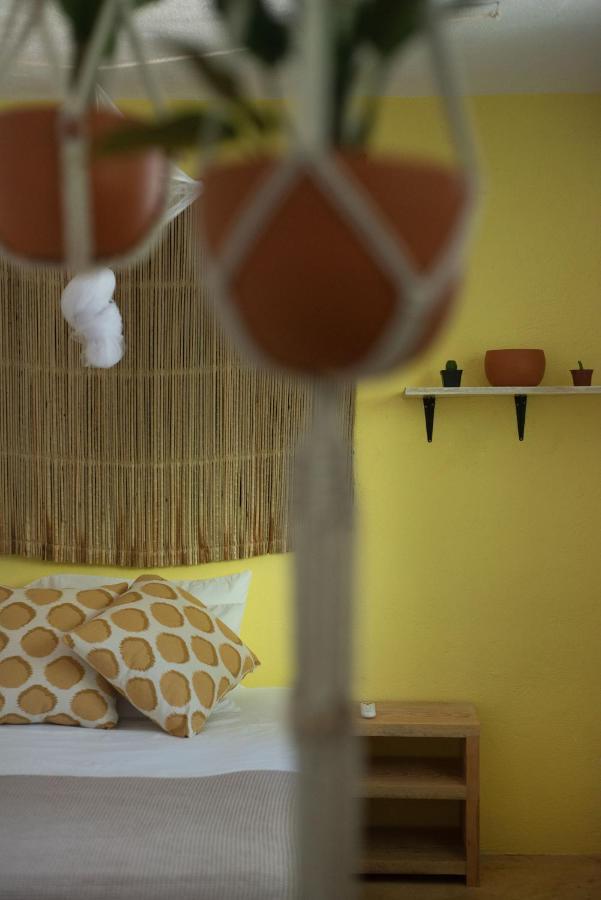 Guest house La Punta House *