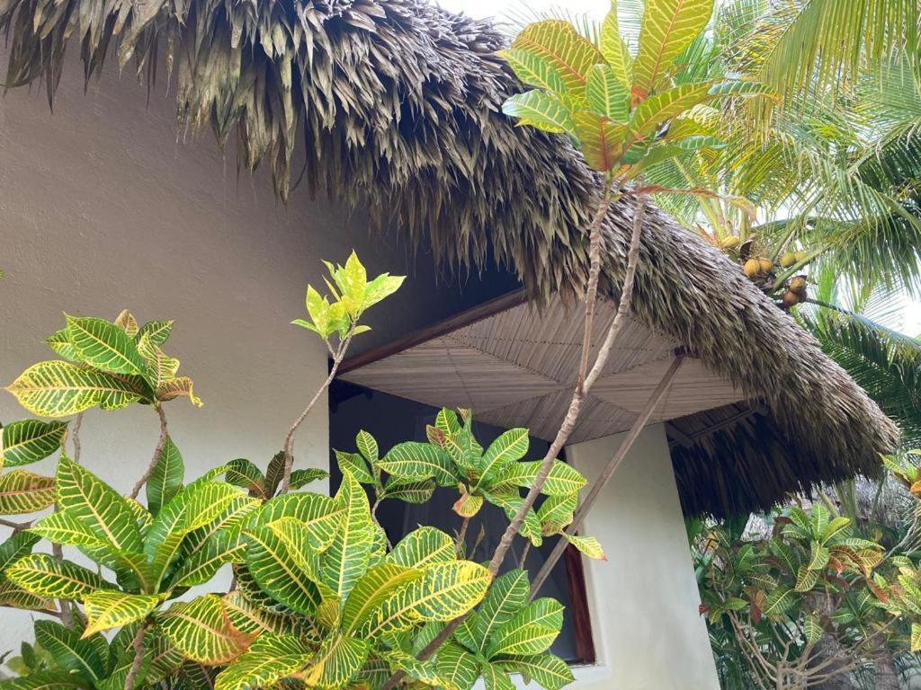 El Ranchito Puerto Escondido Beach Front