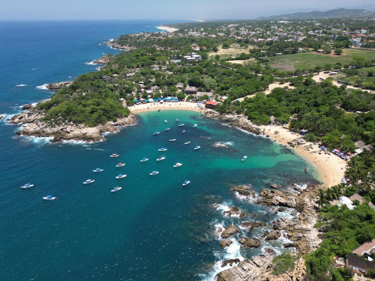 Nopalero * Puerto Escondido (Oaxaca)