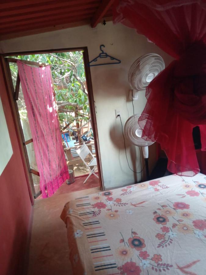 Hostel Caparazona *