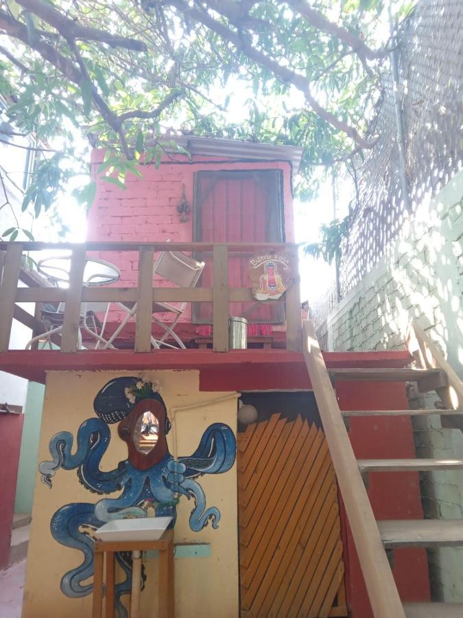 Hostel Caparazona *